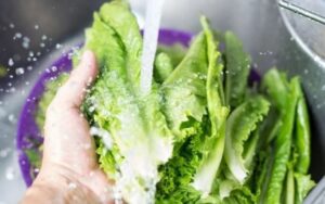 Ngâm salad với nước muối để đảm bảo độ sạch.